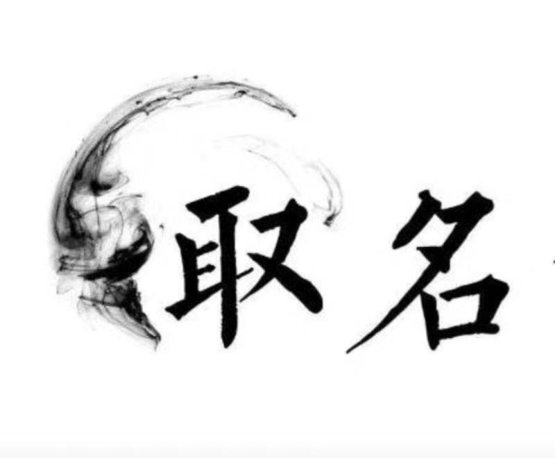  光泽宝宝取名 大师一对一人工起名